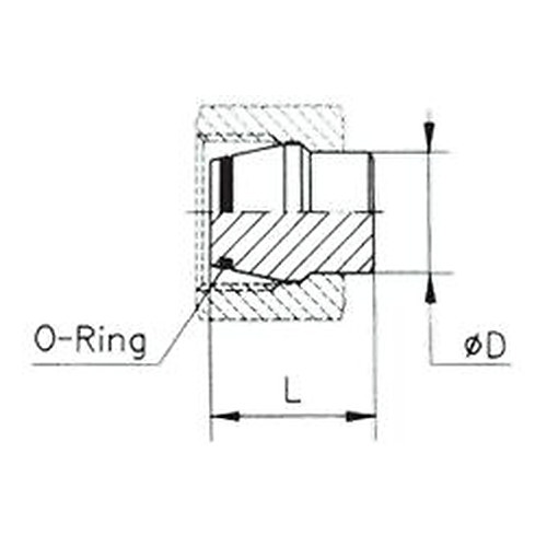 Dop cu O-ring TN324